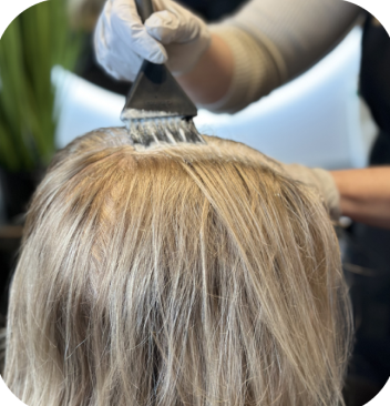 Root retouch starts at $70