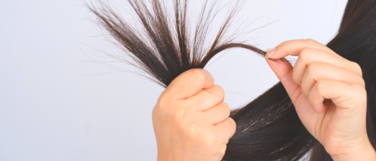 Split End Treatment $60 Brazilian Blowout $300 Keratin Treatment $300 Bond builder add on $20+